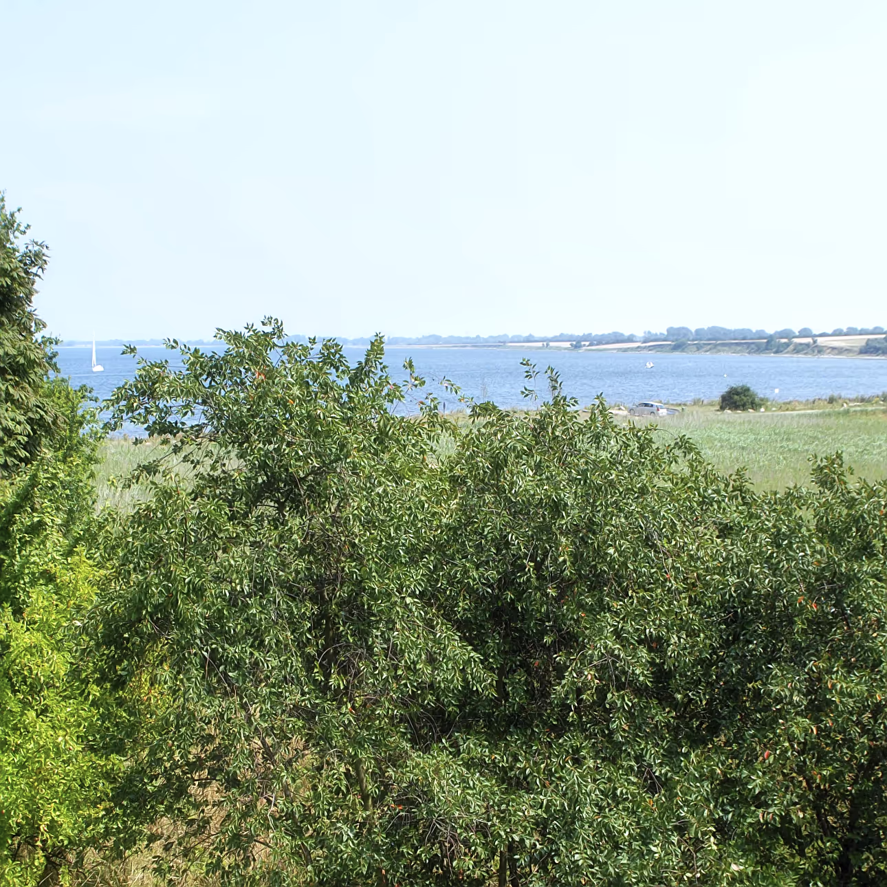 ausblick